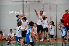 WhatsApp-Image-2026-06-06-at-18.54.06-3